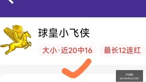 越南篮球界的翘楚，海豚队展现快乐风采2026赛季亮点